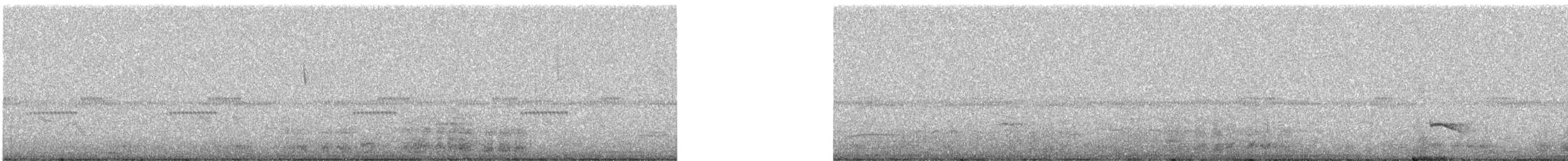 Колумбийская чачалака - ML647257408