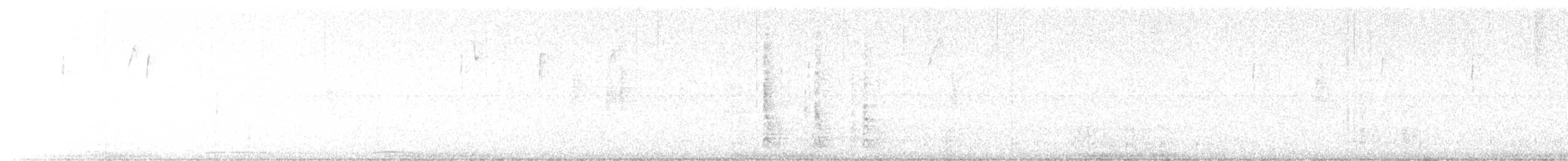 Каролинский дятел - ML647257487