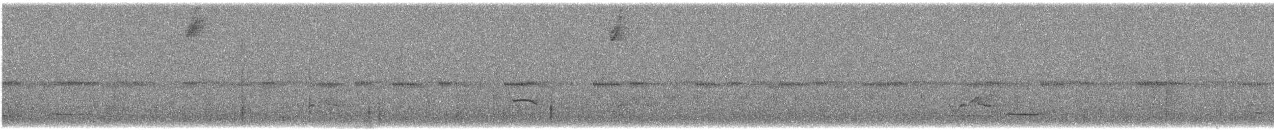 Белошапочная атлапета - ML647257600