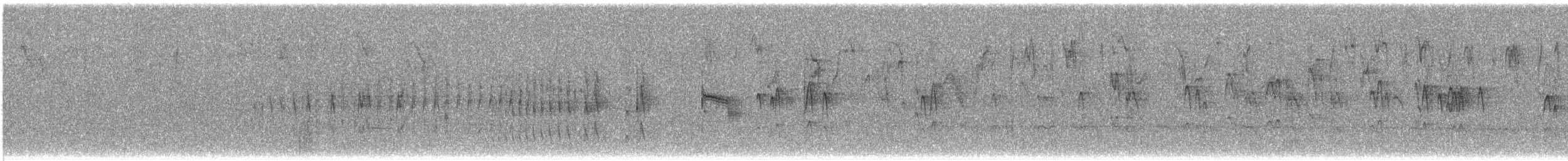 Baird's Flycatcher - ML647257855