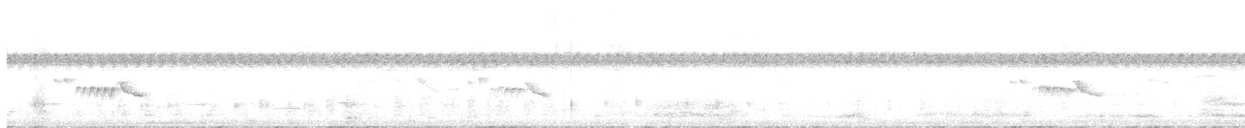 Белокрылый бекард - ML647257860