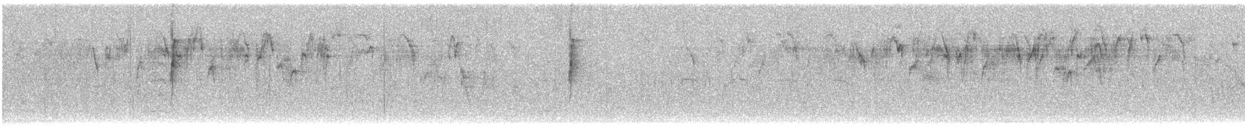 Банановая кареба, сахарная цветочница - ML647257887