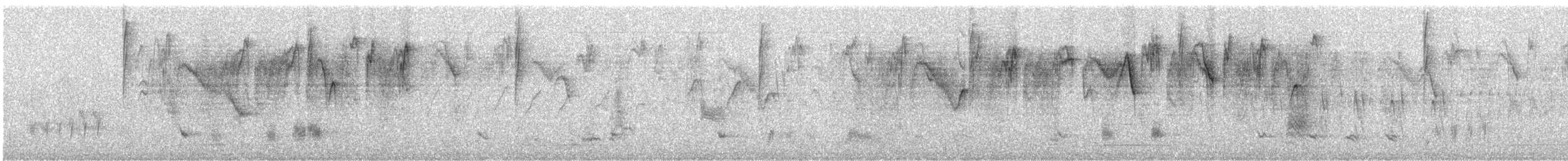 Банановая кареба, сахарная цветочница - ML647257888