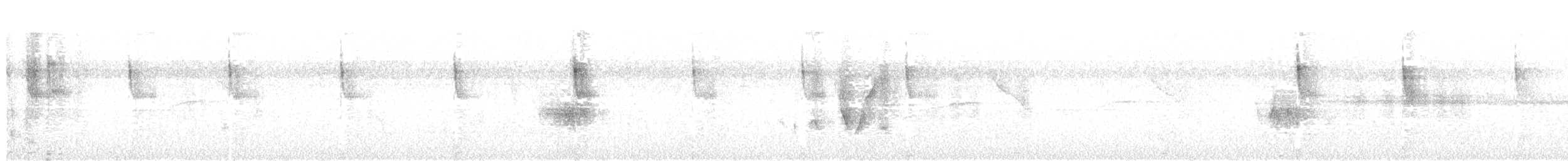 White-bellied Hummingbird - ML647258450