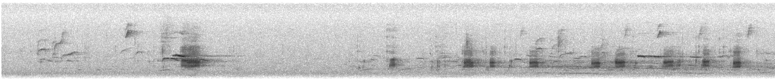 Gadwall - ML647258465