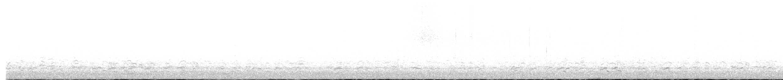 polargås - ML647258858