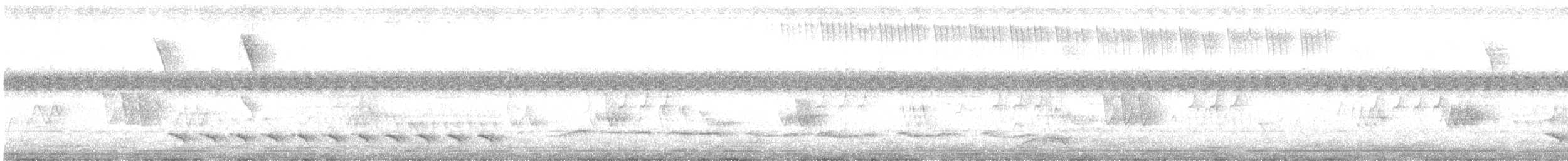 Variable Antshrike - ML647259560