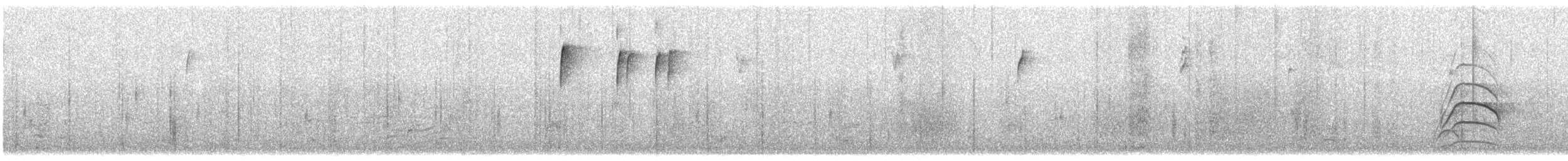 Great Kiskadee - ML647260598