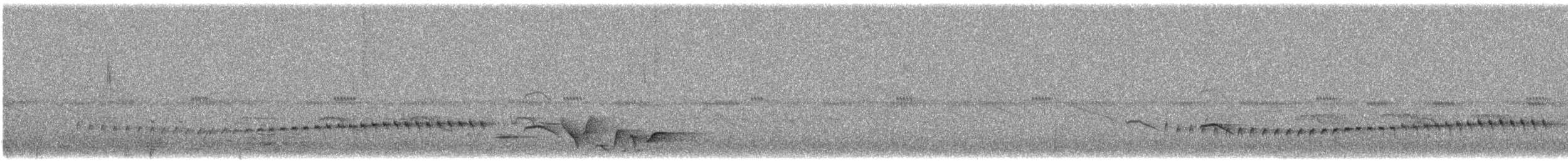 ub. fugl (Aves sp.) - ML647261125