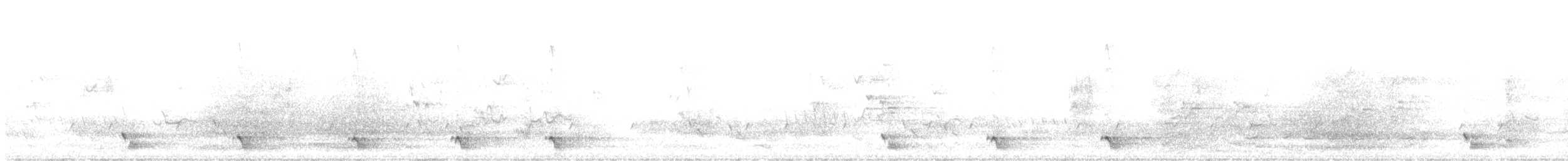 hvitørehonningeter - ML647261157