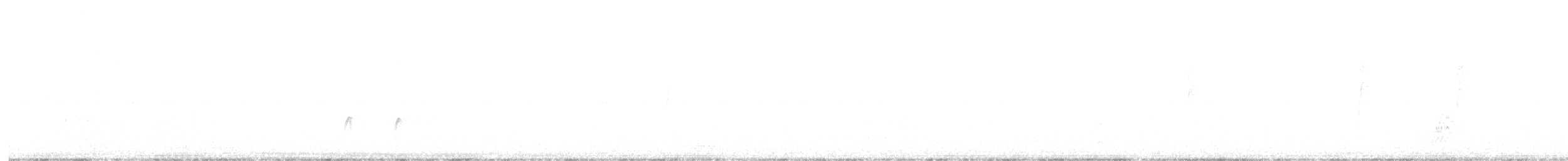 Піві великий - ML647261668