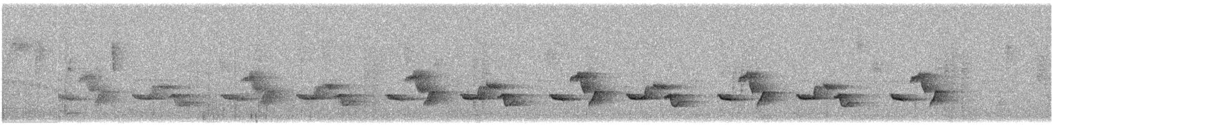 gråbrystskogsmett - ML647261977