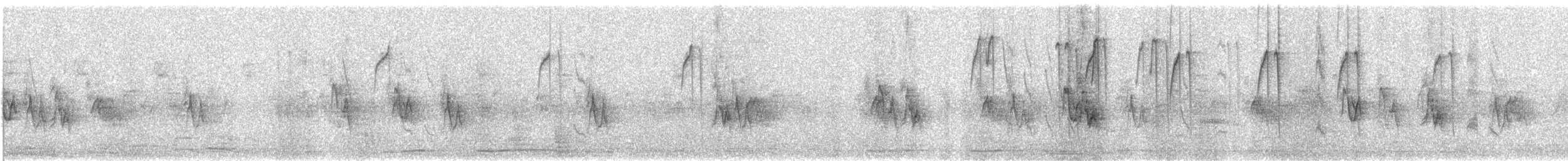 pinsettkolibri - ML647262088