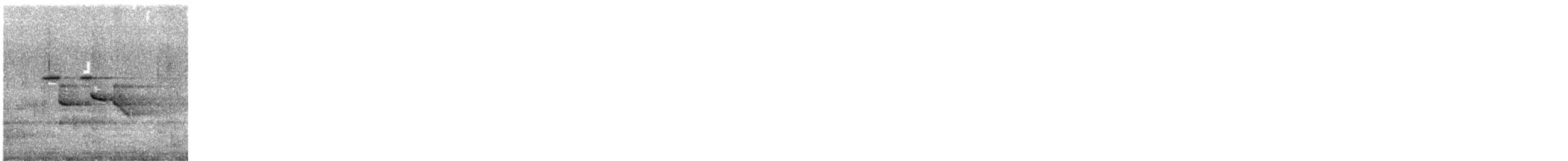 skarlagenhonningeter - ML647262179