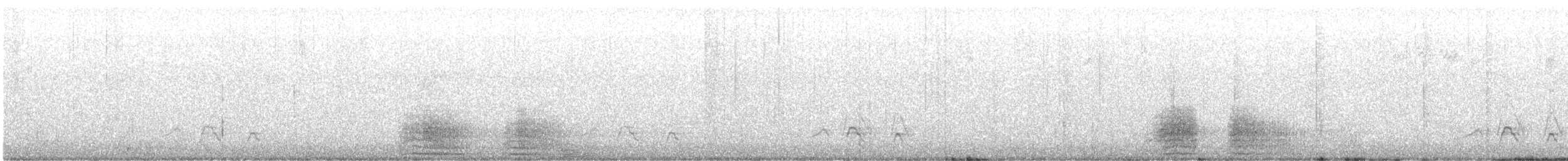 Ring-necked Duck - ML647262925