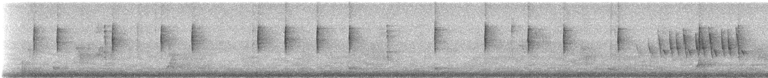 MacGillivray's Warbler - ML647263328
