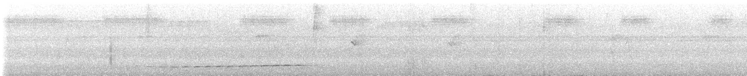 Thicket Antpitta - ML647263476