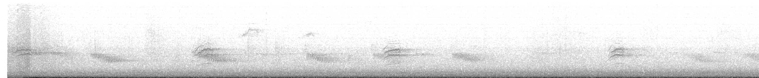 Hermit Thrush - ML647263809