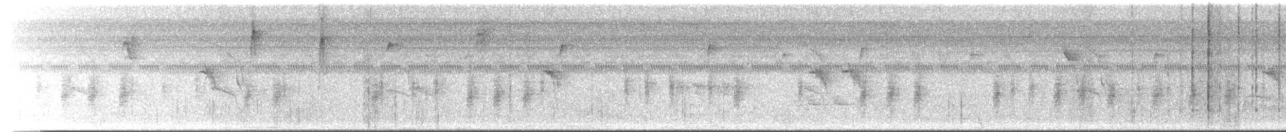 Chochín Criollo Norteño (grupo aedon) - ML647264844