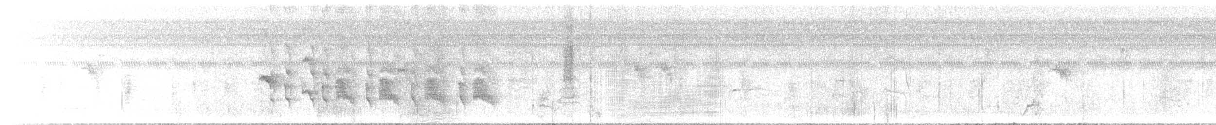 Tyran sociable (groupe texensis) - ML647264851