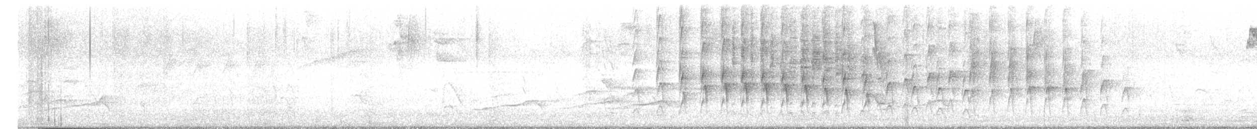 Plain Thornbird - ML647265880