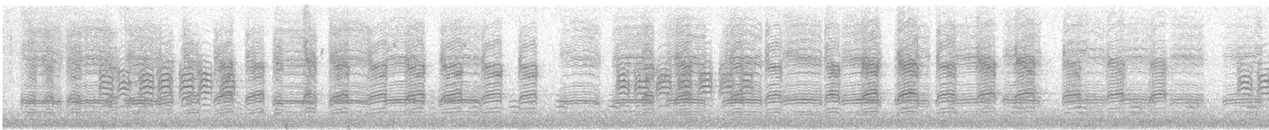 Каролинская гаичка - ML647267256