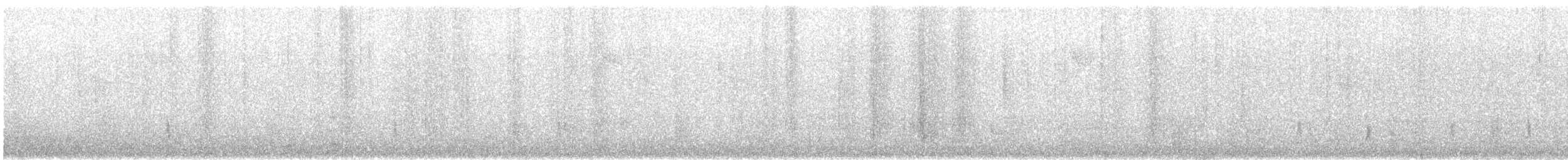 Einsiedler-Musendrossel - ML647267273