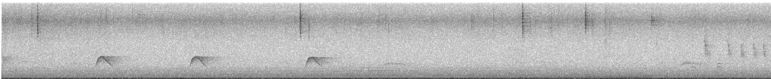 hvitisseelenia - ML647268180