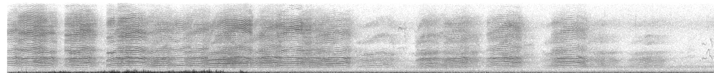 ミナミコワタリガラス - ML647268215