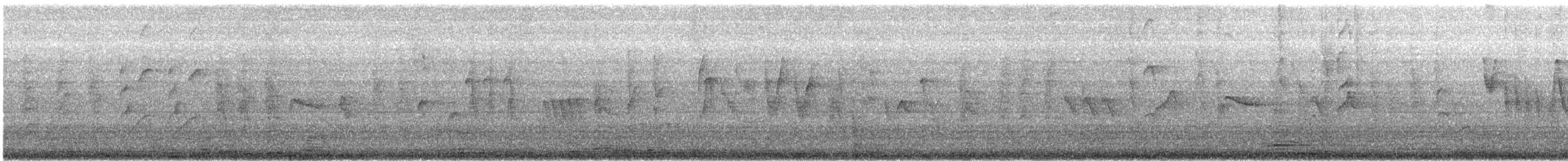 svartsisik - ML647268285