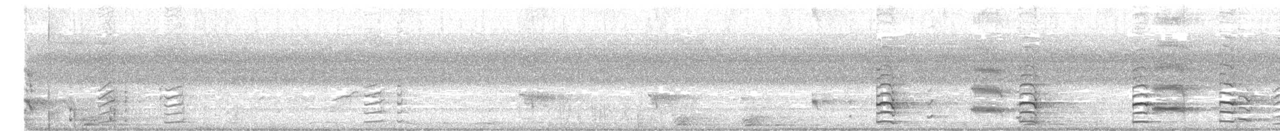 Dusky Moorhen - ML647268726