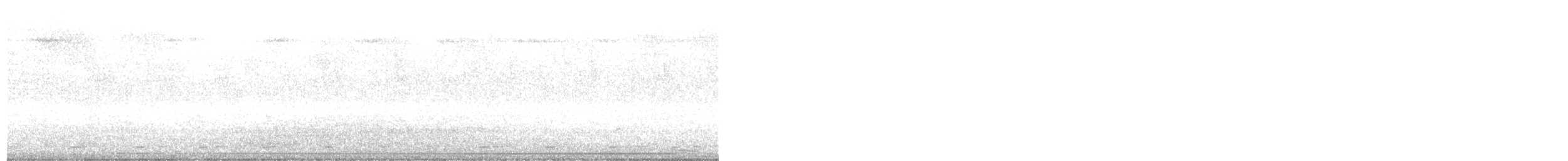 Polluela Elegante - ML647270169