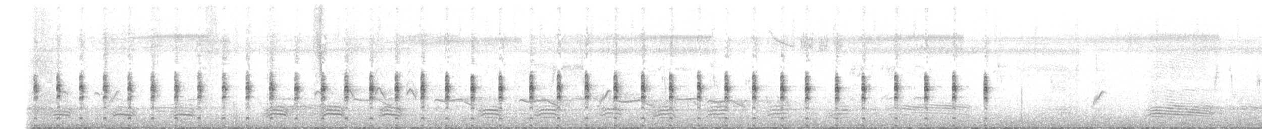 Lewin's Rail - ML647270241