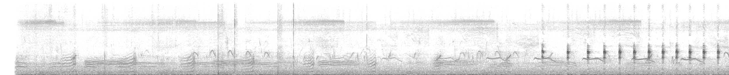 Lewin's Rail - ML647270242