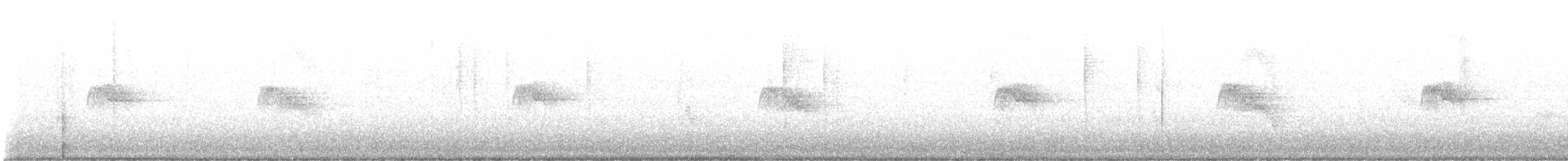 Black Phoebe - ML647270367