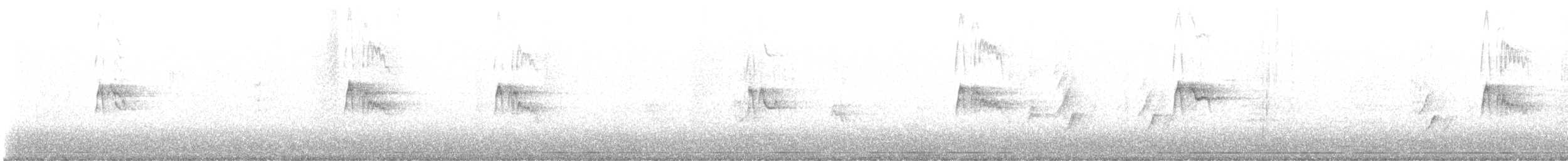 Black Phoebe - ML647270368