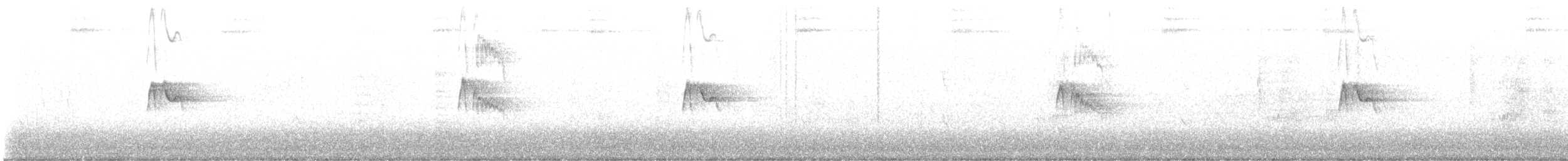 Black Phoebe - ML647270369