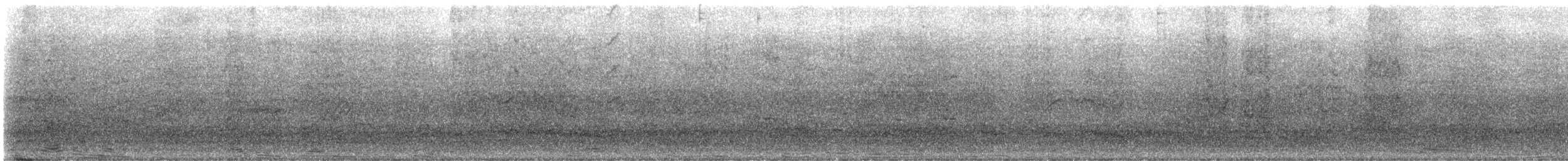 Red-crowned Amazon - ML647270537