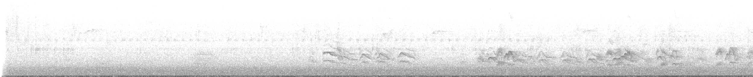 Cassin's Kingbird - ML647270596