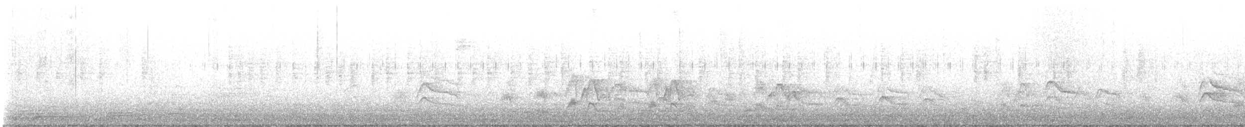 Cassin's Kingbird - ML647270597