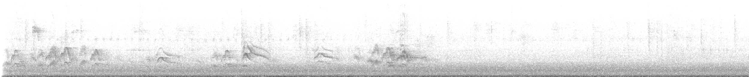 Cassin's Kingbird - ML647270598