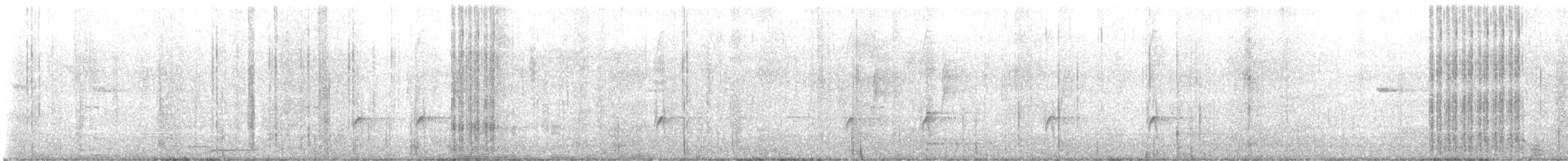 Greater Pewee - ML647270746