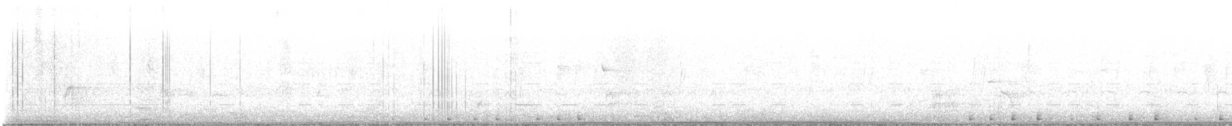 Acorn Woodpecker - ML647270799