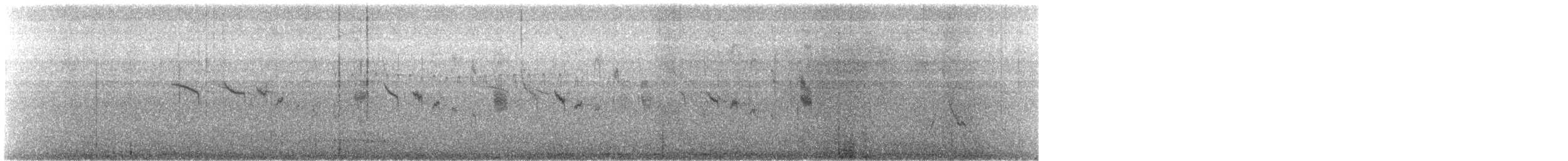 Red-tailed Comet - ML647270838