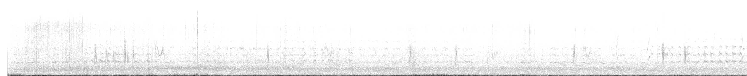 Red-necked Stint - ML647271097