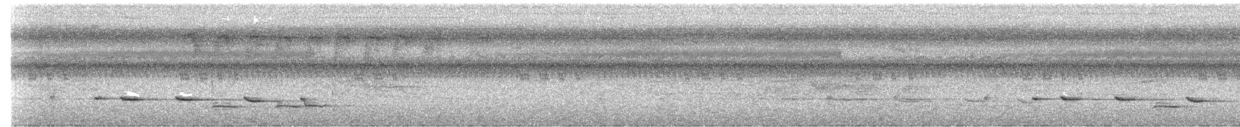 Sunda Brush Cuckoo - ML647271103