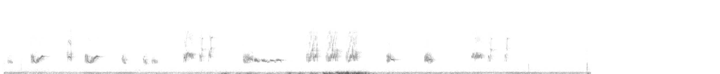 California Thrasher - ML647271116