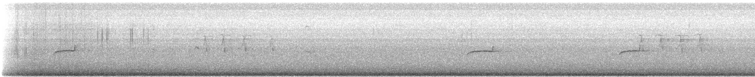 Southern Beardless-Tyrannulet - ML647271499