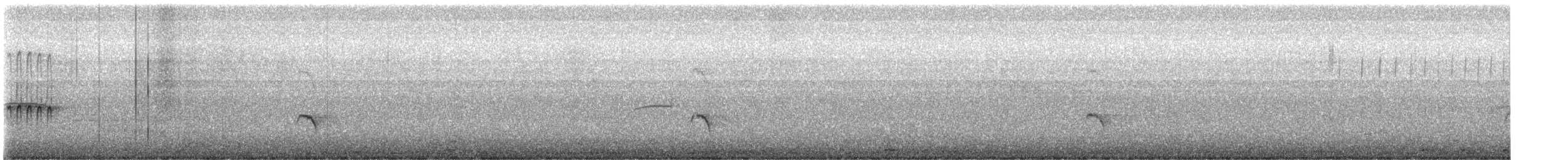 drozd jihoamerický - ML647271663