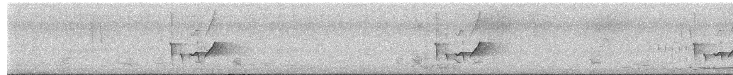 lejsčík jihoaustralský - ML647272029